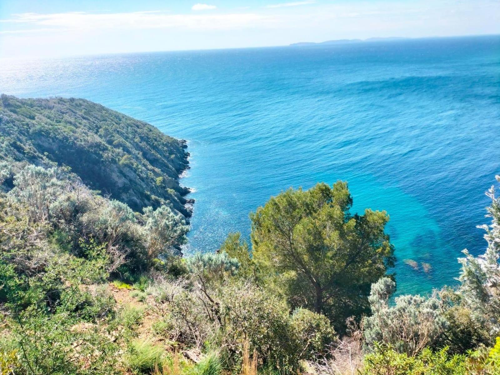 Studio Pool House Vue Mer Panoramique Amazing Sea View Wifi Linge Linen Inclut Aircondition La Croix-Valmer Exterior photo